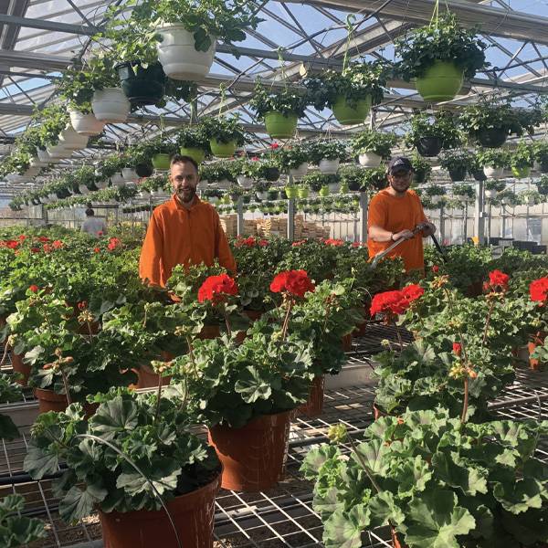 2 MAGASINS POUR LA JARDINERIE LOISEAU  & UNE SERRE DE PRODUCTION À PERREUX